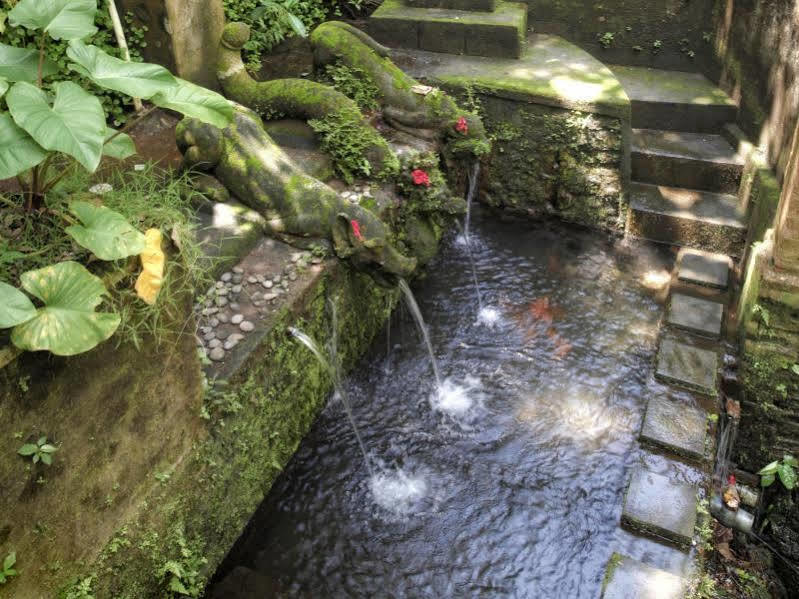Bucu Beji Ubud Exteriör bild