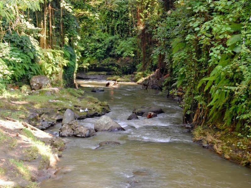Bucu Beji Ubud Exteriör bild
