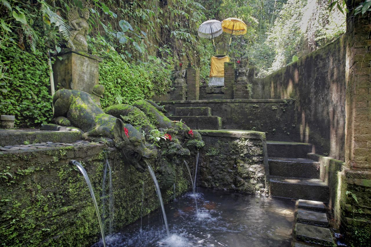 Bucu Beji Ubud Exteriör bild
