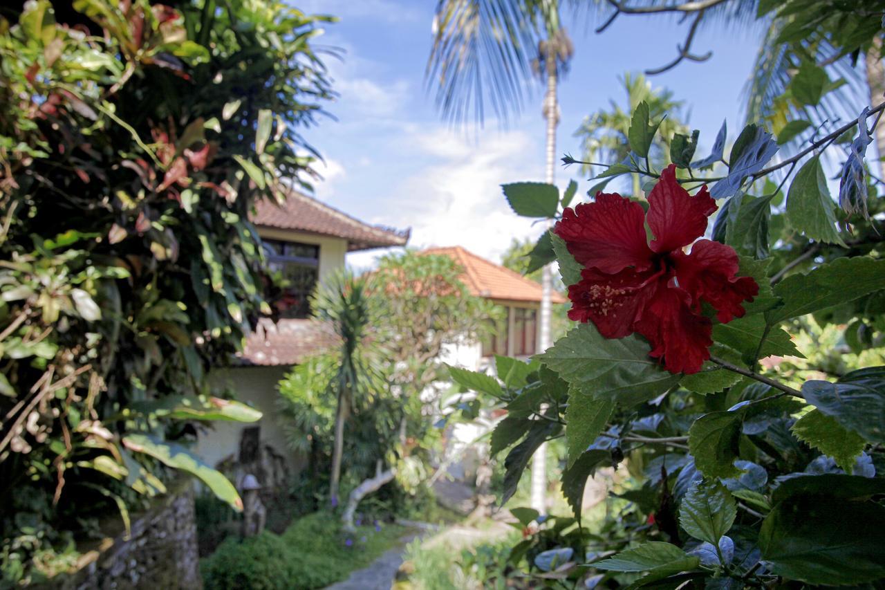 Bucu Beji Ubud Exteriör bild