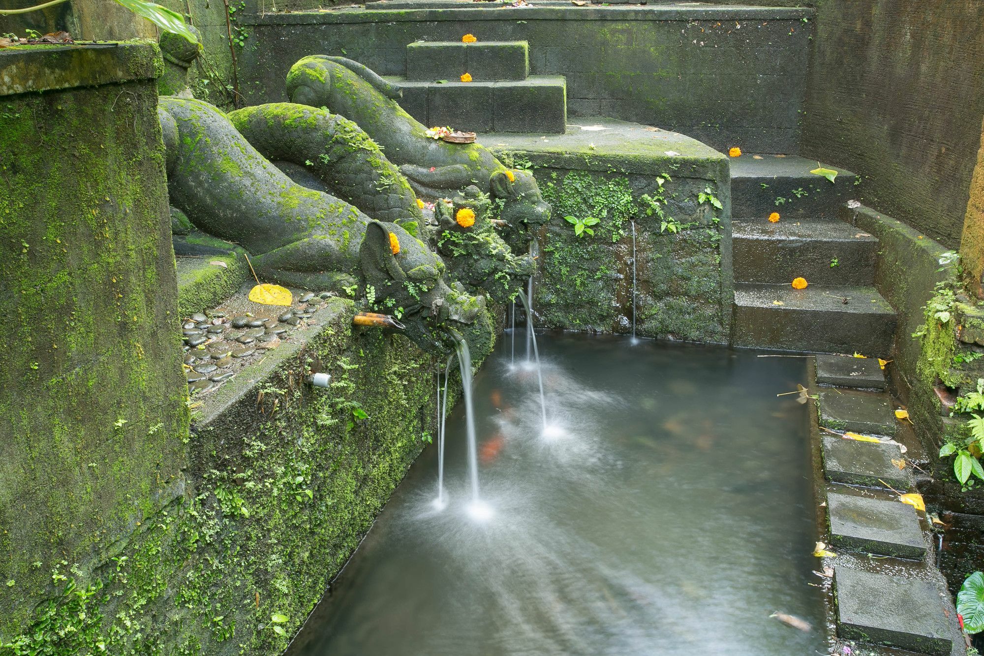 Bucu Beji Ubud Exteriör bild